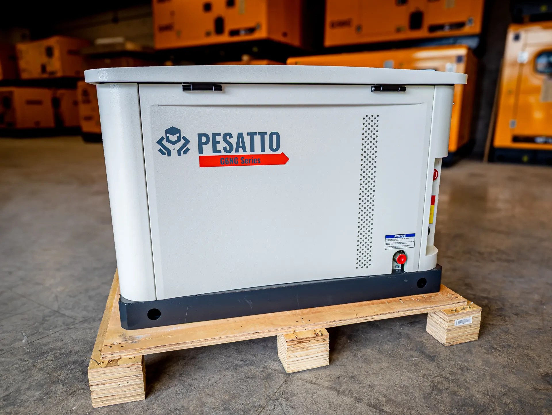 PESATTO G6NG